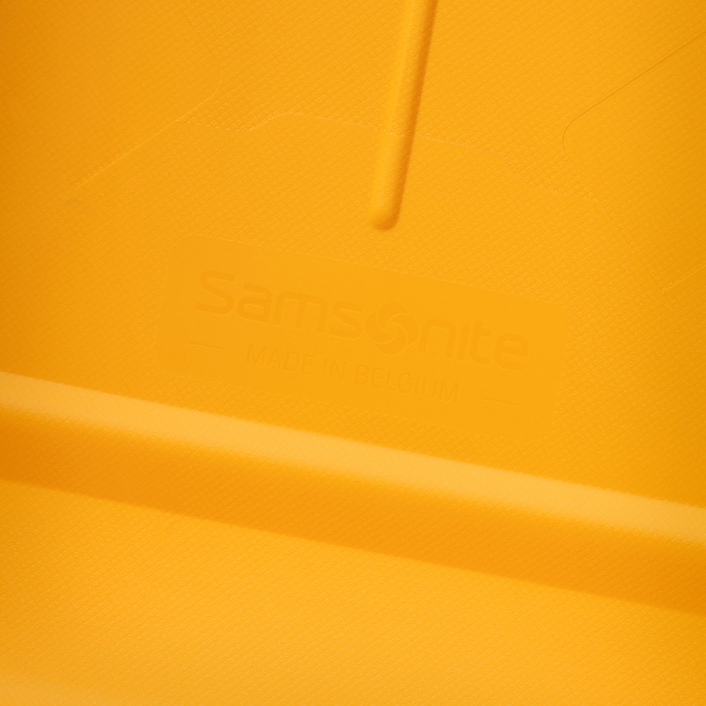 Samsonite Essens Spinner Carry-On Hardside Luggage