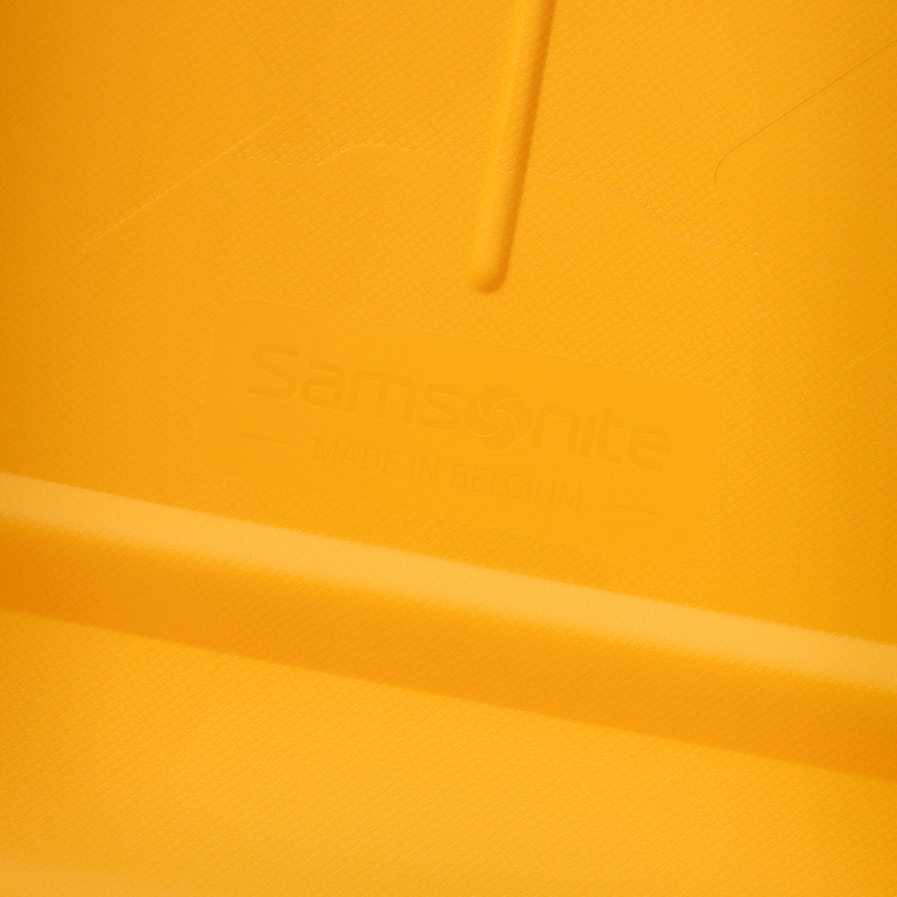 Samsonite Essens Spinner Large Hardside Luggage